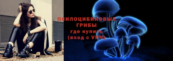 гашик Киренск